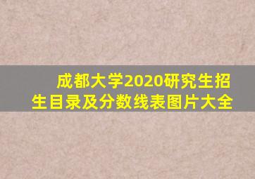 成都大学2020研究生招生目录及分数线表图片大全