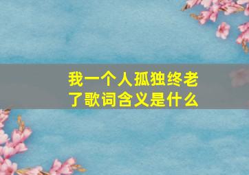 我一个人孤独终老了歌词含义是什么