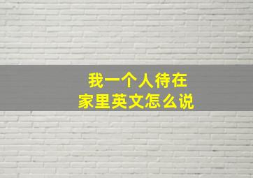 我一个人待在家里英文怎么说