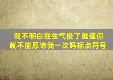 我不明白我生气极了难道你就不能原谅我一次吗标点符号