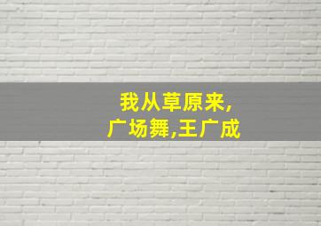 我从草原来,广场舞,王广成