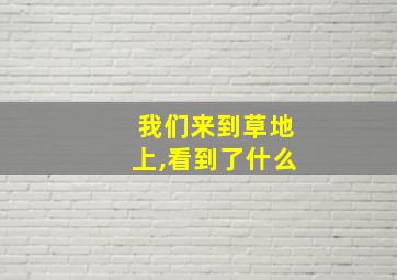 我们来到草地上,看到了什么