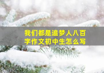 我们都是追梦人八百字作文初中生怎么写