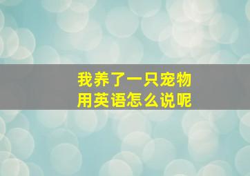 我养了一只宠物用英语怎么说呢