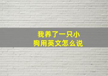 我养了一只小狗用英文怎么说