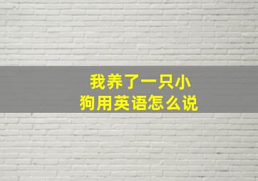 我养了一只小狗用英语怎么说