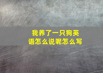 我养了一只狗英语怎么说呢怎么写