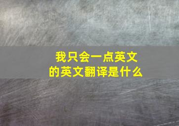 我只会一点英文的英文翻译是什么