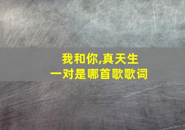 我和你,真天生一对是哪首歌歌词