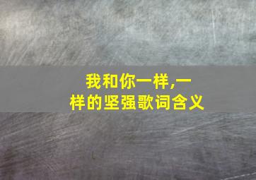 我和你一样,一样的坚强歌词含义