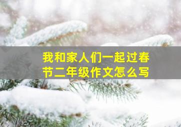 我和家人们一起过春节二年级作文怎么写