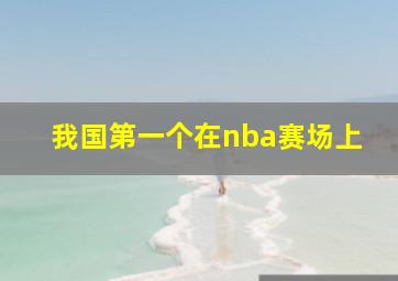 我国第一个在nba赛场上