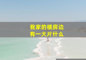 我家的楼房边有一大片什么