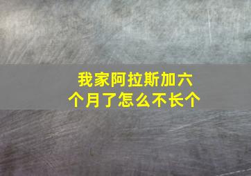 我家阿拉斯加六个月了怎么不长个