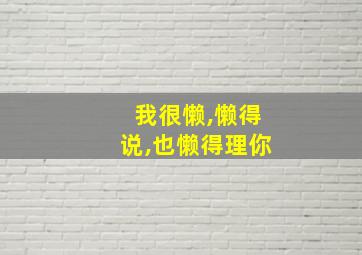 我很懒,懒得说,也懒得理你