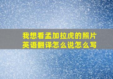 我想看孟加拉虎的照片英语翻译怎么说怎么写