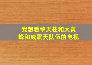 我想看擎天柱和大黄蜂和威震天队伍的电视