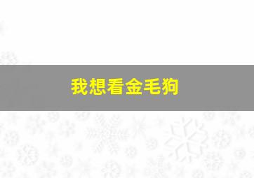 我想看金毛狗