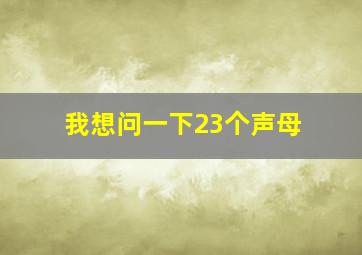 我想问一下23个声母