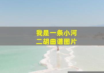 我是一条小河二胡曲谱图片