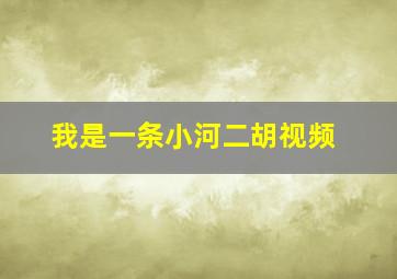 我是一条小河二胡视频