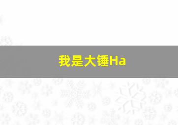 我是大锤Ha