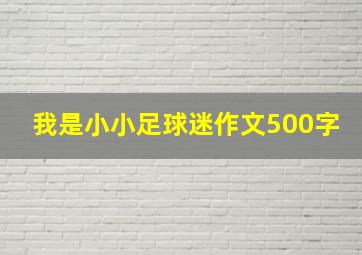 我是小小足球迷作文500字