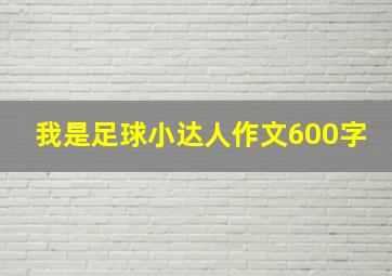 我是足球小达人作文600字