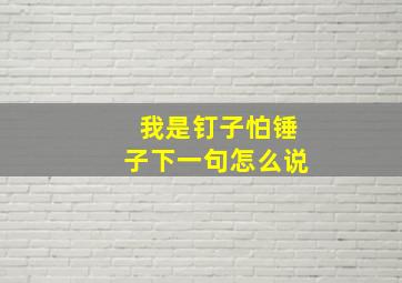 我是钉子怕锤子下一句怎么说