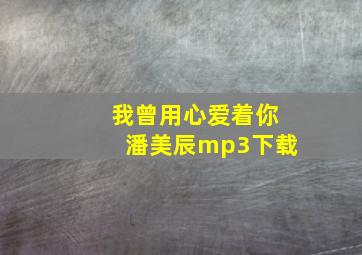 我曾用心爱着你潘美辰mp3下载