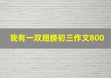 我有一双翅膀初三作文800