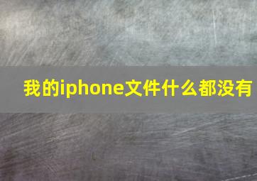 我的iphone文件什么都没有