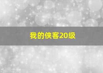 我的侠客20级