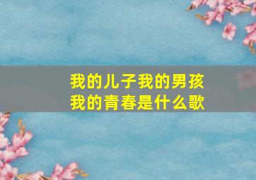 我的儿子我的男孩我的青春是什么歌