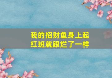 我的招财鱼身上起红斑就跟烂了一样