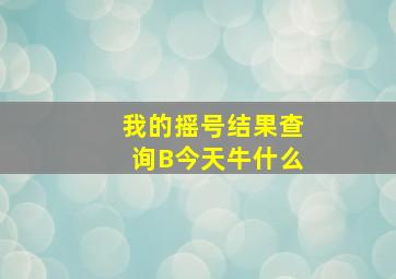 我的摇号结果查询B今天牛什么