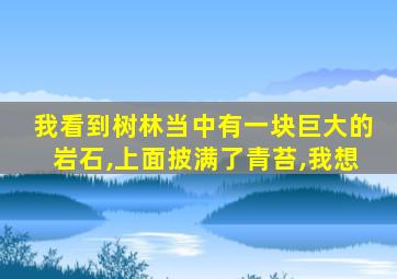 我看到树林当中有一块巨大的岩石,上面披满了青苔,我想