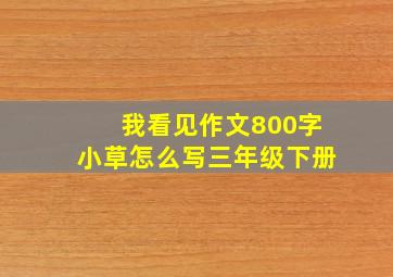 我看见作文800字小草怎么写三年级下册