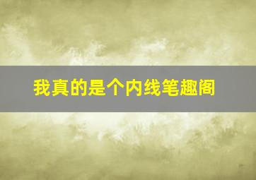 我真的是个内线笔趣阁