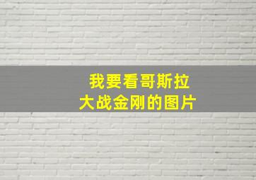 我要看哥斯拉大战金刚的图片