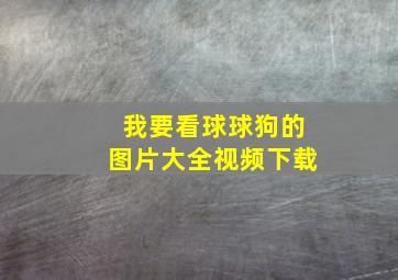 我要看球球狗的图片大全视频下载