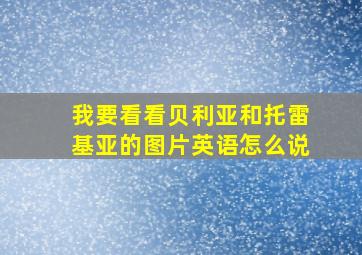 我要看看贝利亚和托雷基亚的图片英语怎么说