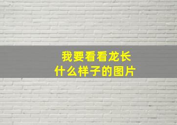 我要看看龙长什么样子的图片