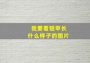 我要看铠甲长什么样子的图片