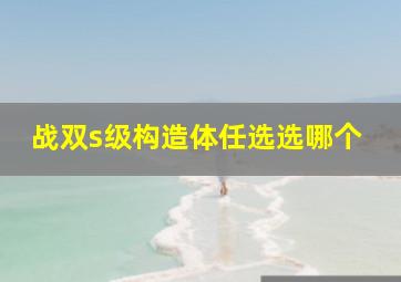 战双s级构造体任选选哪个