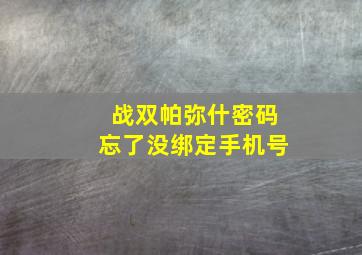 战双帕弥什密码忘了没绑定手机号