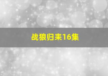 战狼归耒16集