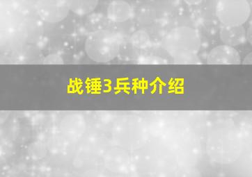 战锤3兵种介绍