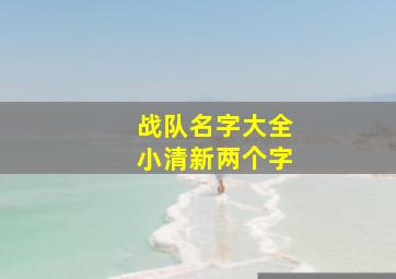 战队名字大全小清新两个字