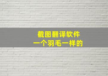 截图翻译软件一个羽毛一样的